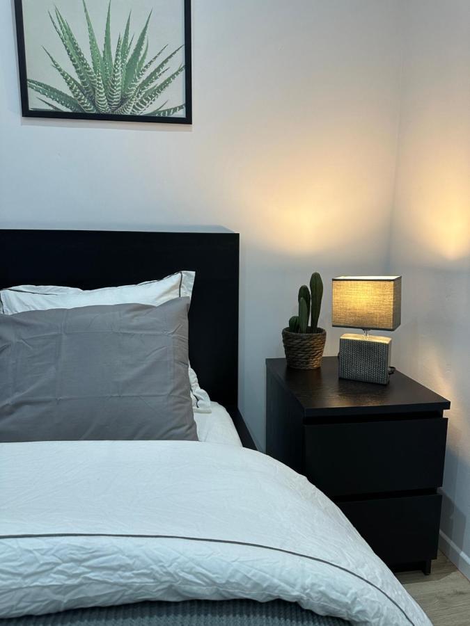 Nouveau Studio Dans Le Centre De Bruxelles 外观 照片